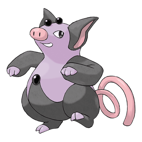 grumpig A grumpig image.