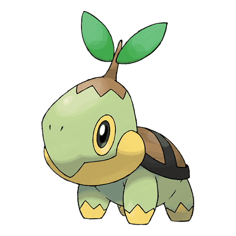 turtwig A turtwig image.