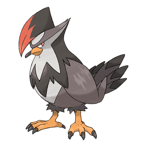 staraptor A staraptor image.