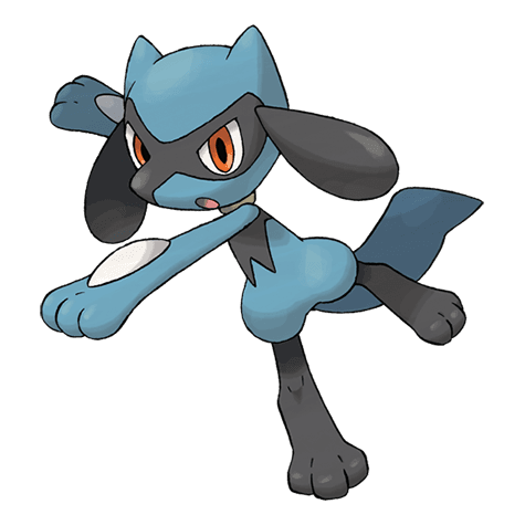 riolu A riolu image.