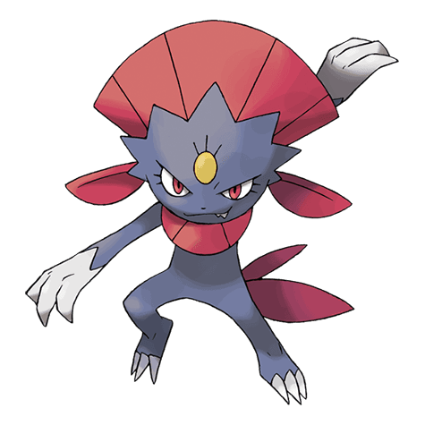 weavile A weavile image.