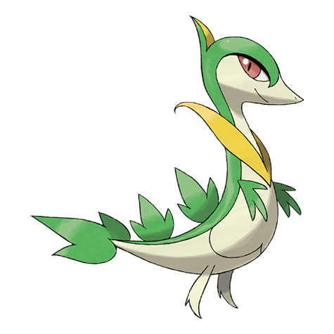 servine A servine image.