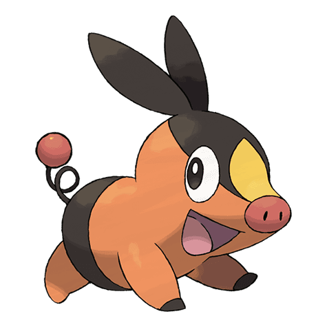 tepig A tepig image.