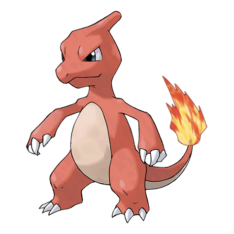 charmeleon A charmeleon image.