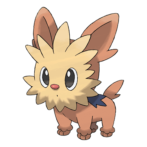 lillipup A lillipup image.
