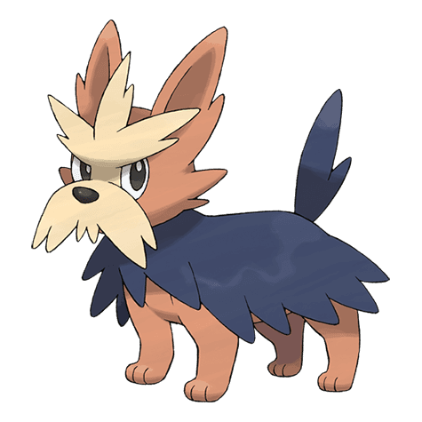 herdier A herdier image.