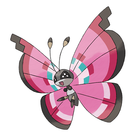 vivillon A vivillon image.