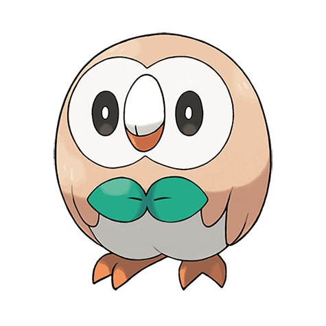 rowlet A rowlet image.