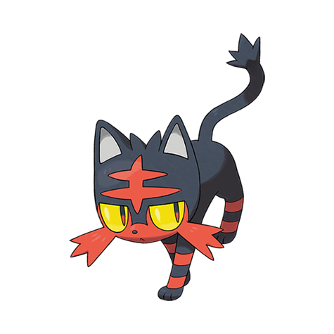 litten A litten image.