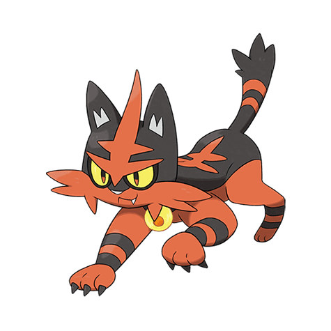 torracat A torracat image.