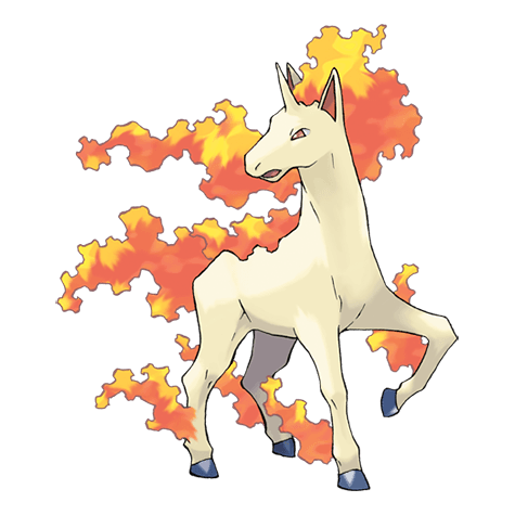 rapidash A rapidash image.