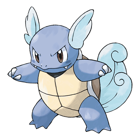wartortle A wartortle image.