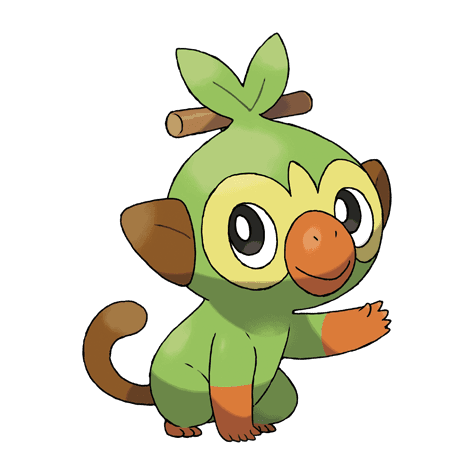 grookey A grookey image.