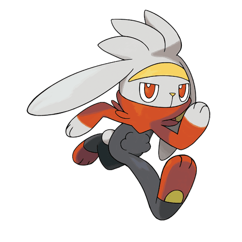 raboot A raboot image.