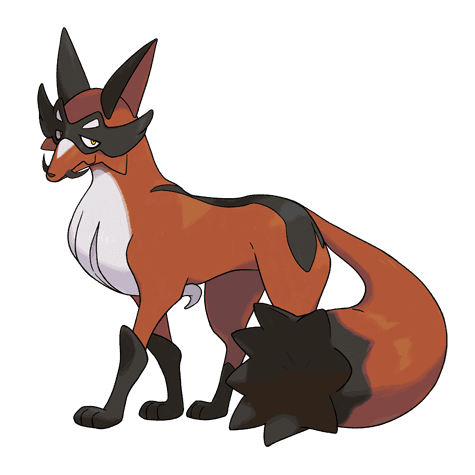 thievul A thievul image.