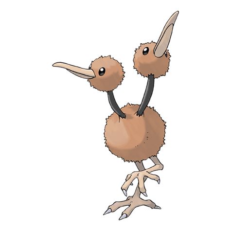 doduo A doduo image.