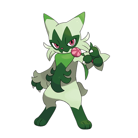 floragato A floragato image.